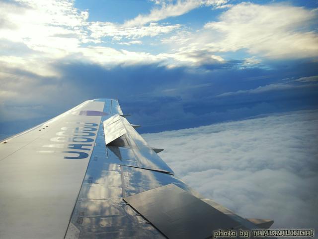 SDC11178.jpg